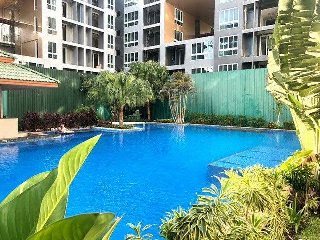 Condominium for sale Pratumnak Pattaya  - Condominium - Pattaya - Pratumnak Hill 