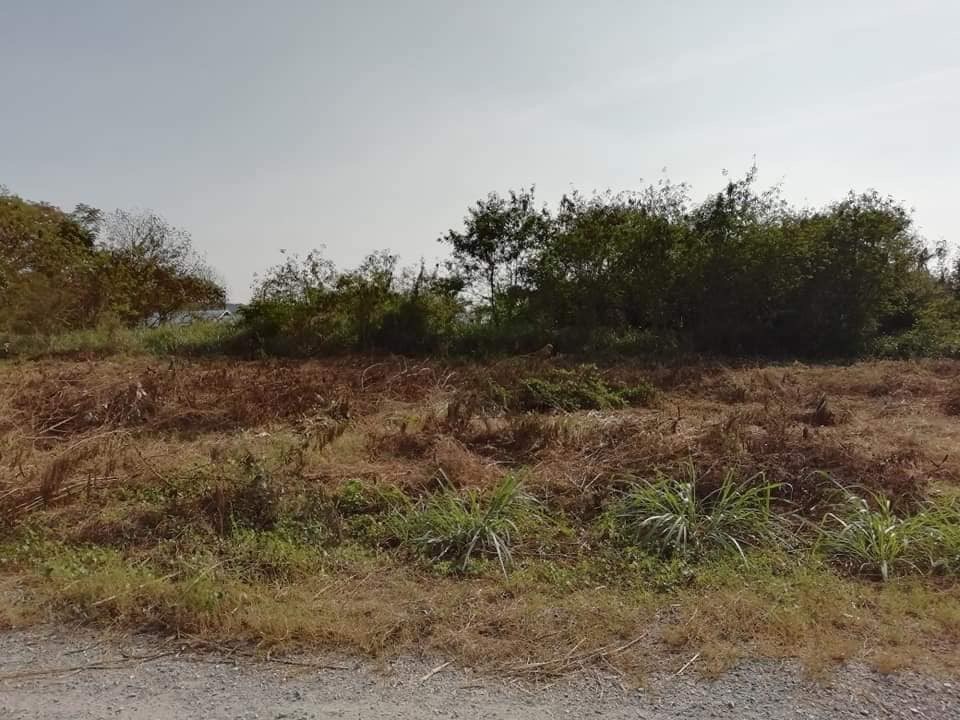 368 SQ.M Land For Sale - Bangsaray  - Land -  - 