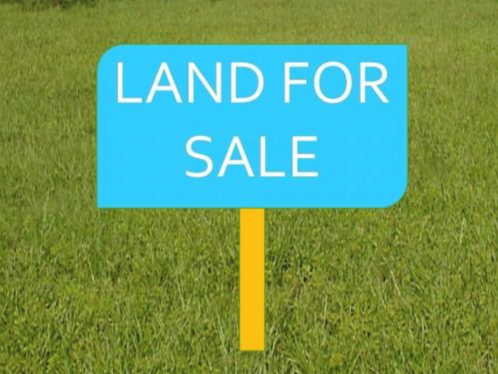 2 - 0 - 0 Rai for sale - Land - Na Jomtien - 