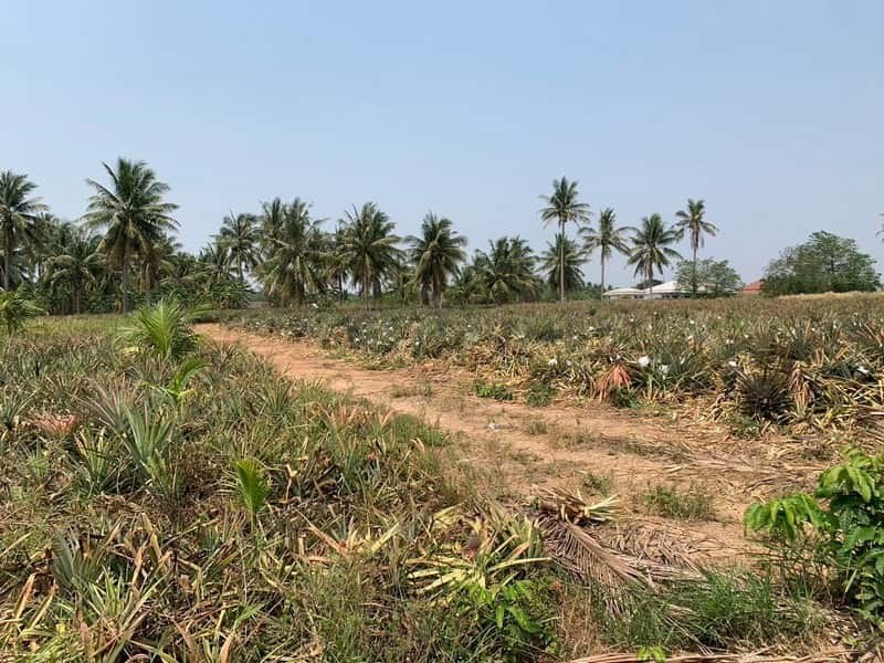 Good view land in Hua Hin - Land - Hua Hin - Hua Hin 