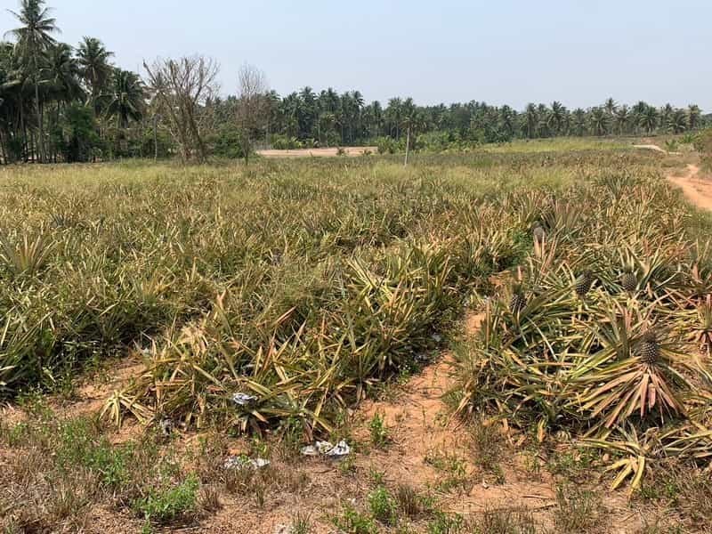 Land surrounded by nature in Hua Hin - Land - Hua Hin - Hua Hin