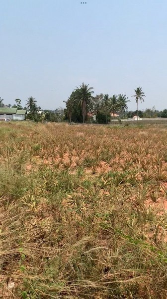 Land for sale near Hua Hin city - Land - Hua Hin - Hua Hin