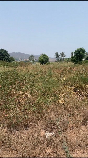 Land for sale in Hua Hin - Land - Nong Kae - Khao Tao