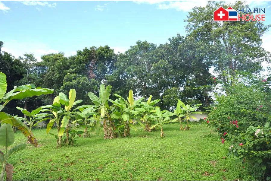 1.360 sqm land for sale - Land - Hin Lek Fai - Hua Hin