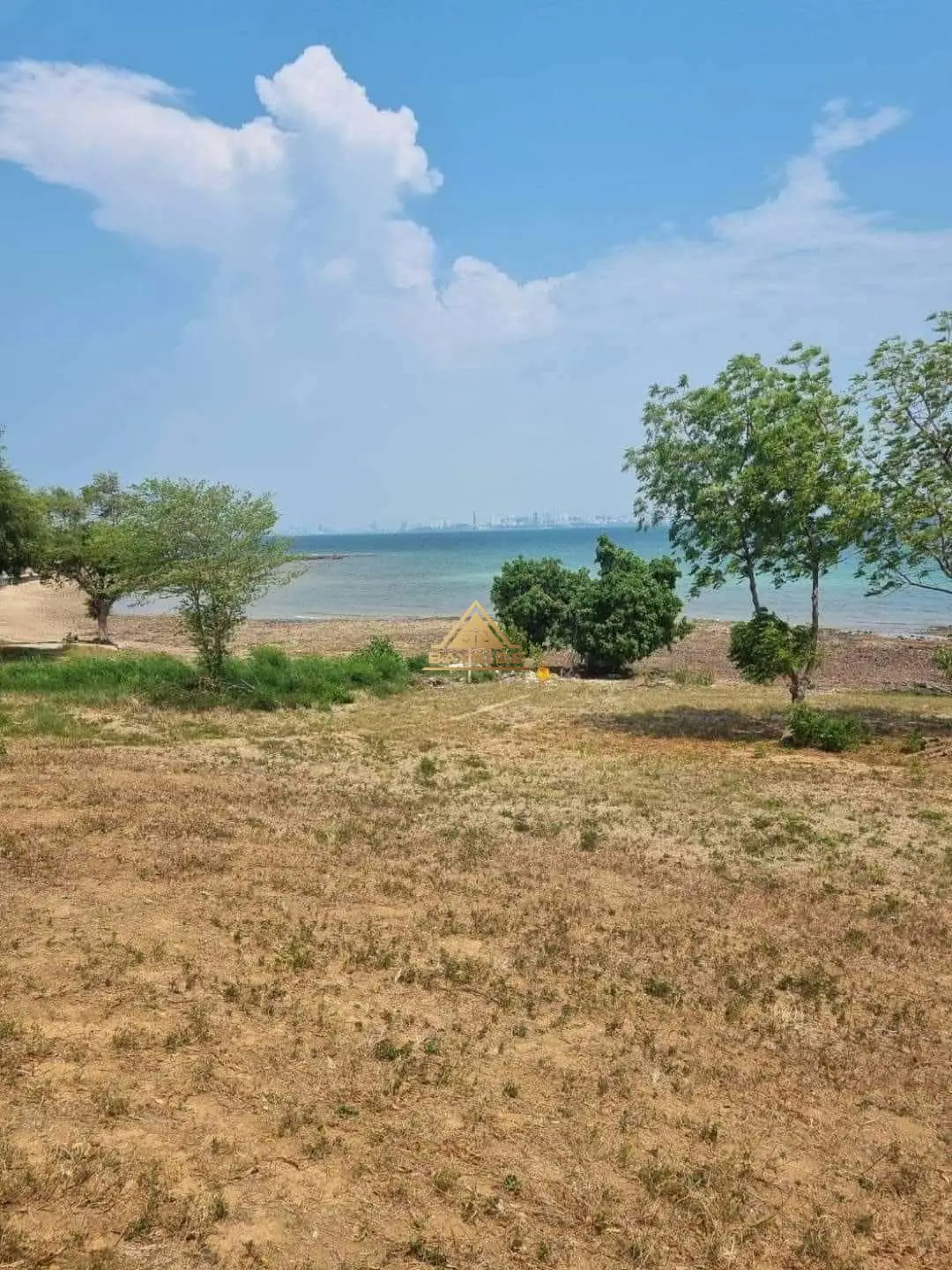 Land 15 Rais at Koh Larn Pattaya for SALE - Land - Koh Larn - 