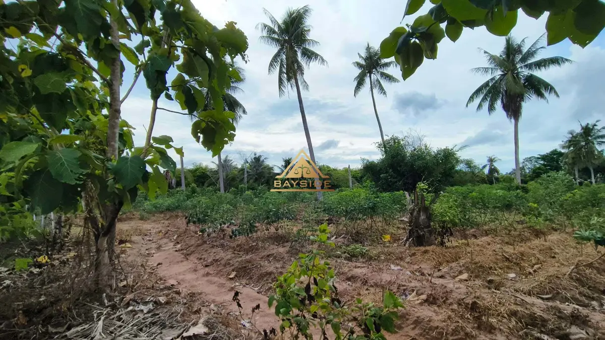 Land for sale 5 Rai at Huai Yai - Land - Huai Yai - 