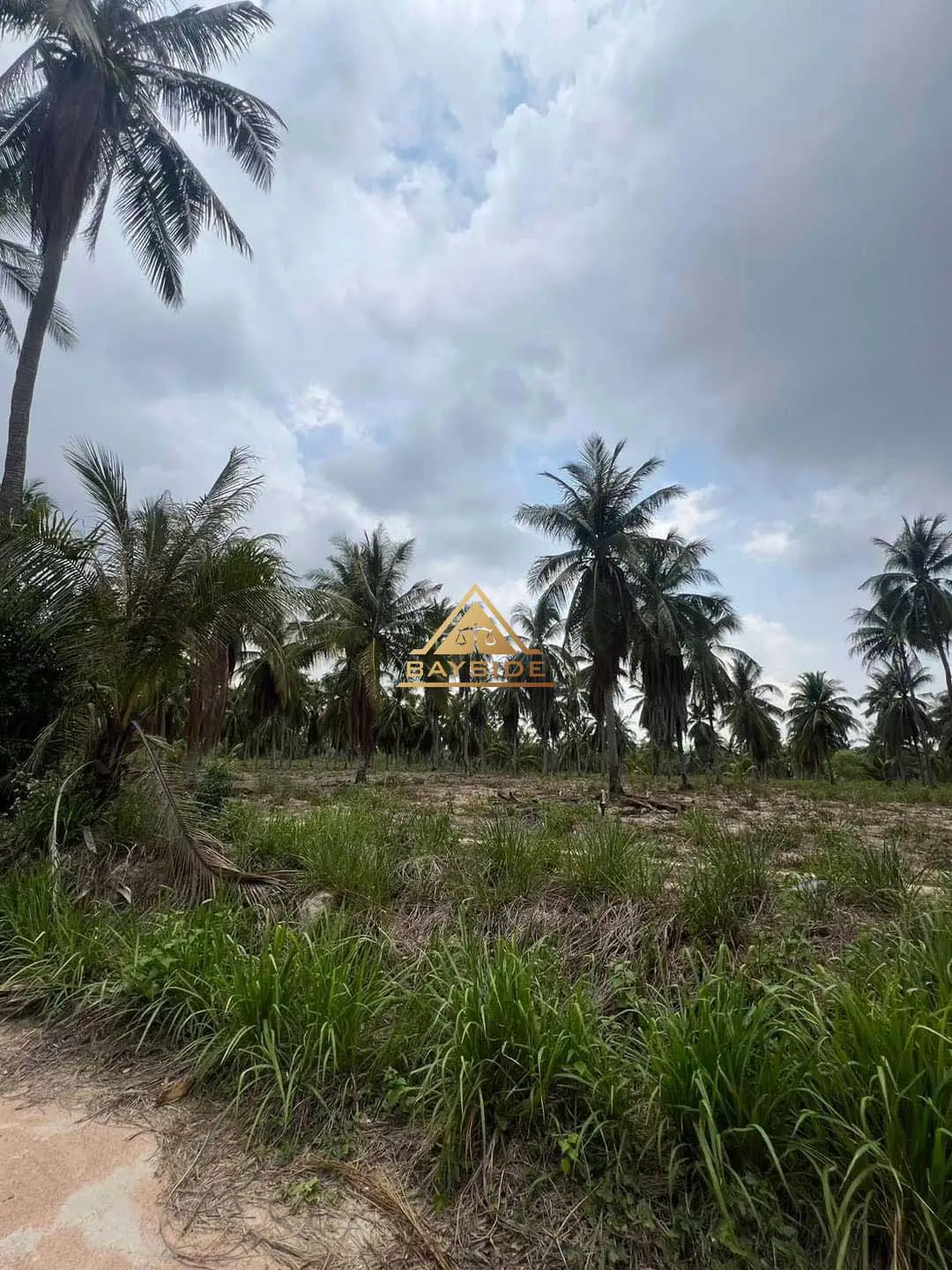 Land for sale at Mabprachan 9 MB - Land - Lake Maprachan - 