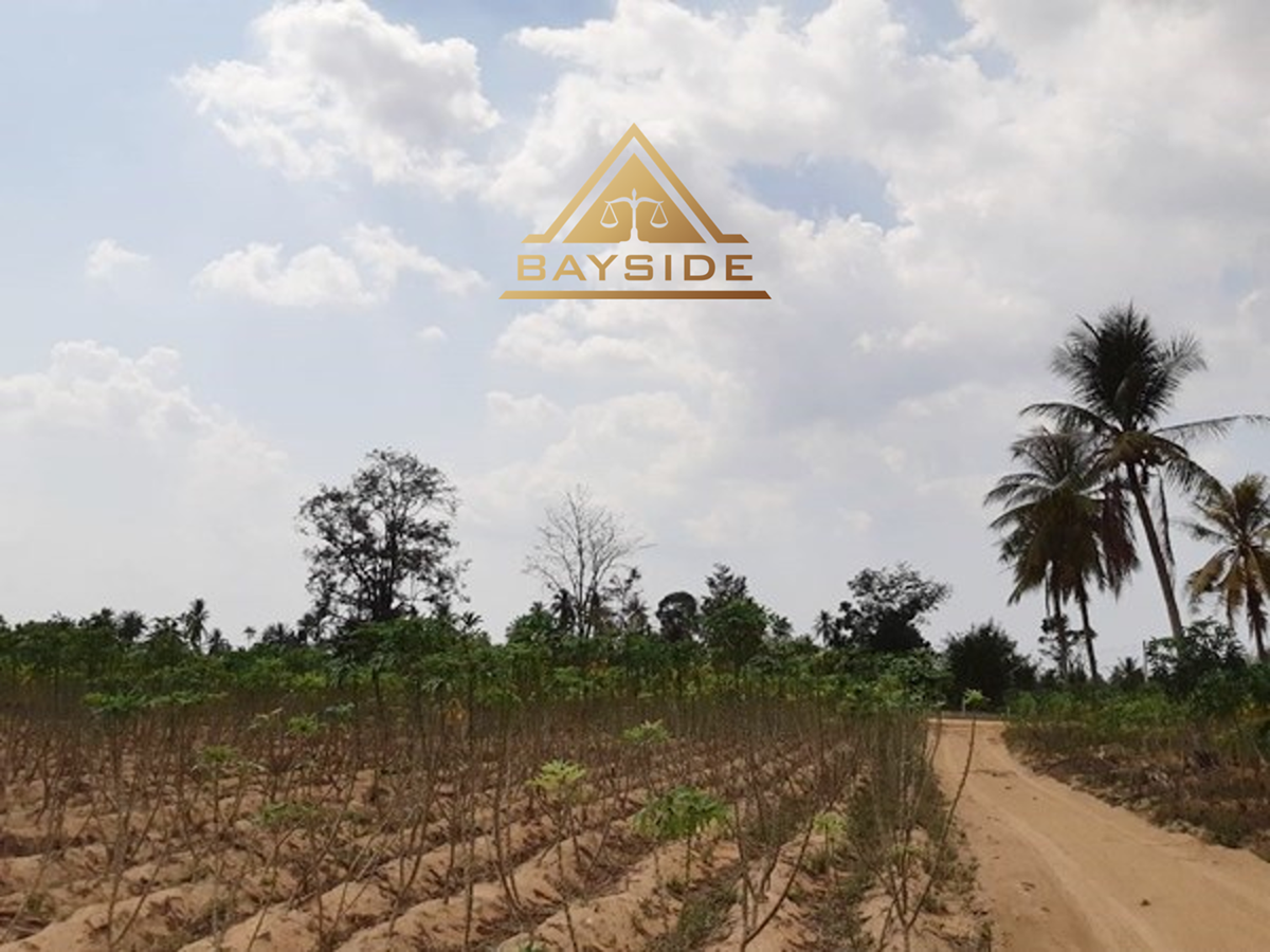 Land for sale - Huay Yai - 9 Rai 350 TW - Land - Huai Yai - 