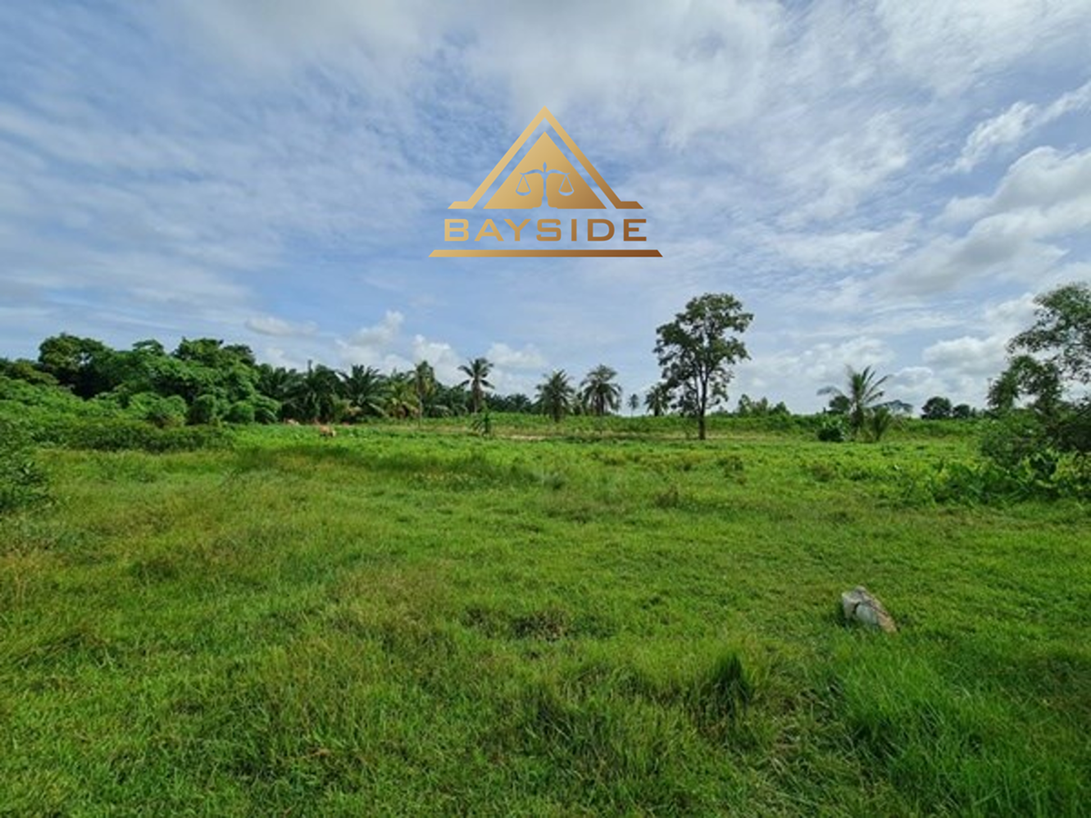 Land for sale - Huay Yai - 8 Rai - Land - Huai Yai - 