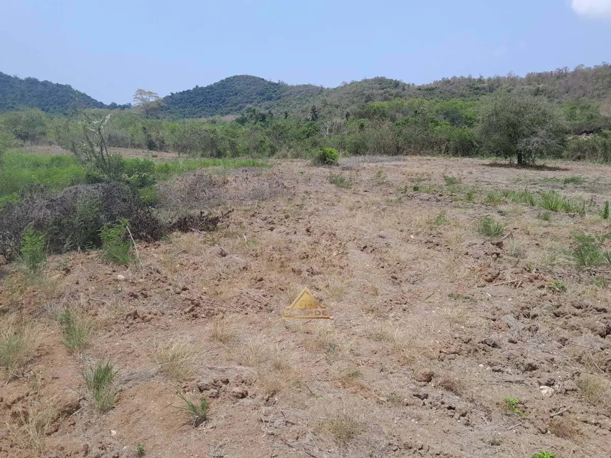 Land on The Hill 2.7 Millions Per Rai Sattahip Chonburi  60 Rai for SALE  - Land - Sattahip - 